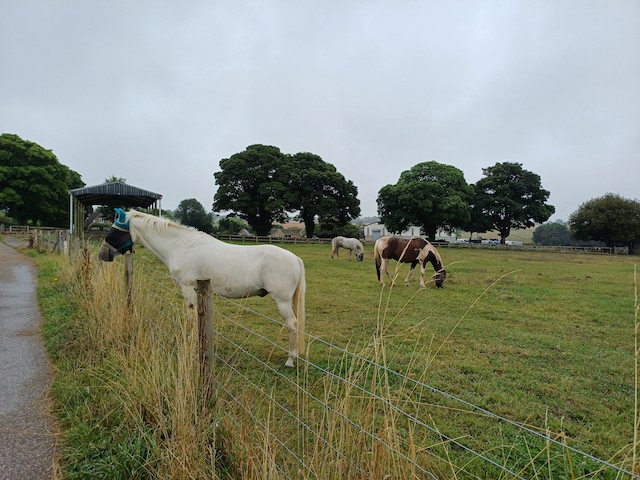 Daglingworth 1