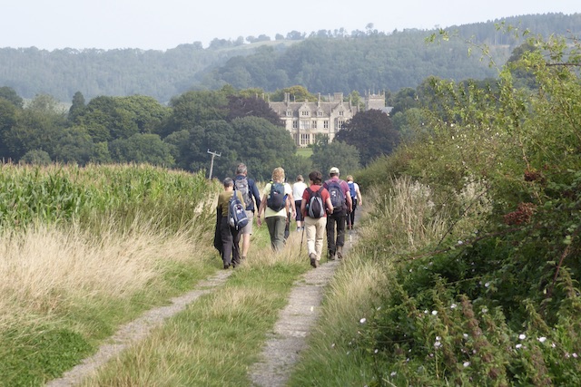 Hillesley 1