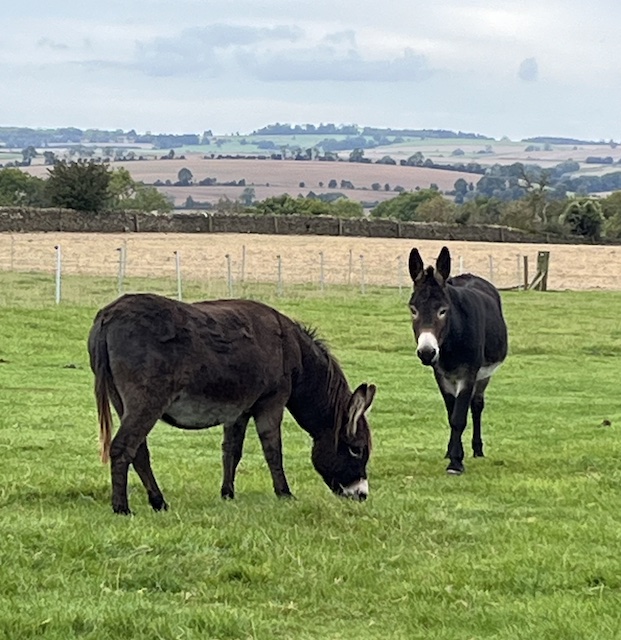 CotswoldFarm1