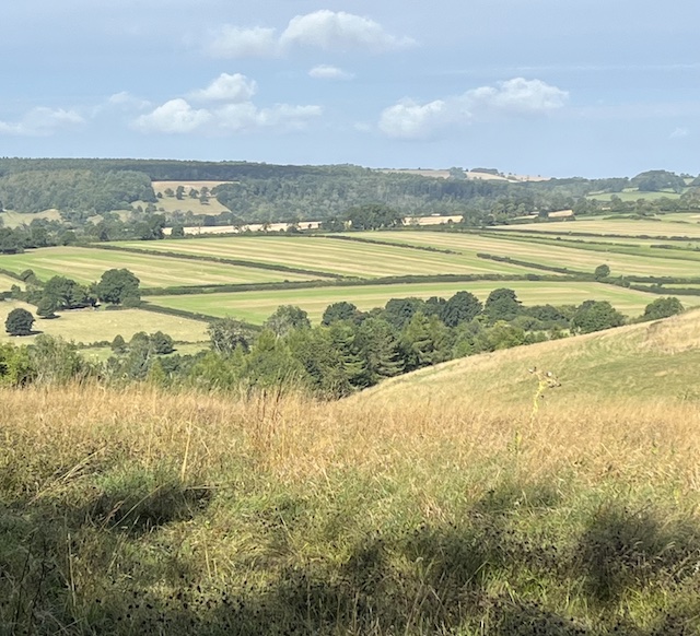 CotswoldFarm3