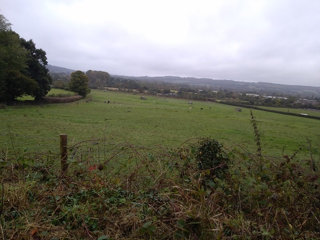 Looking across from Monarchs Way copy