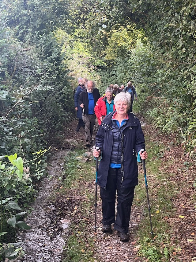 Greenway3