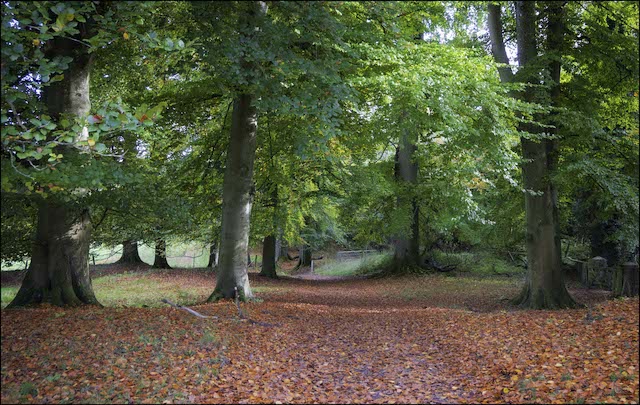 Bibury4