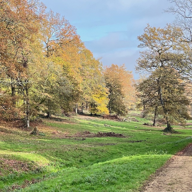 Chedworth7