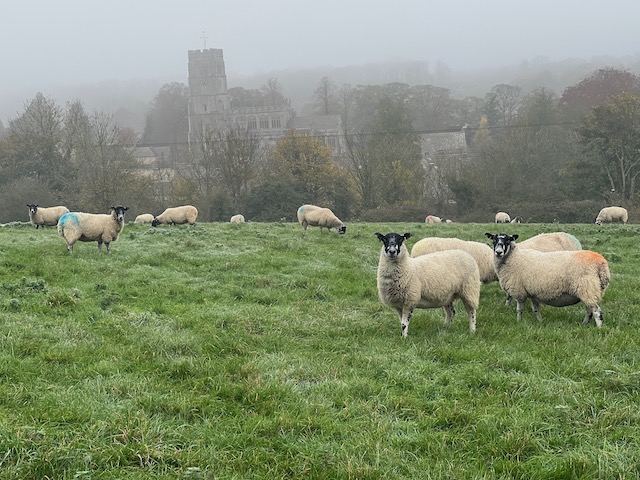 250112 Northleach5