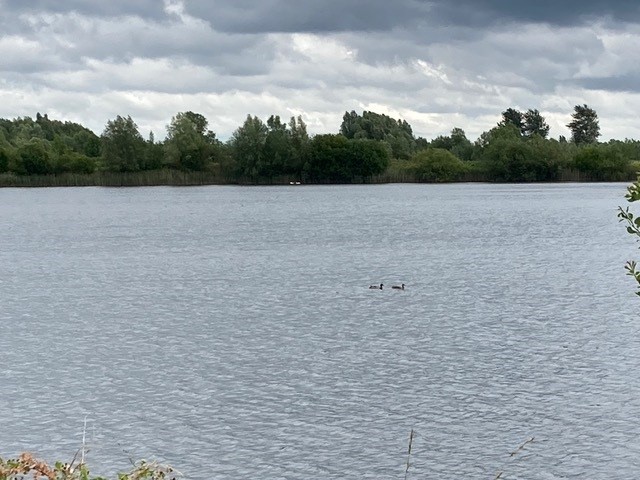 Lake 82