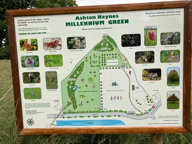 Millenium Green Information