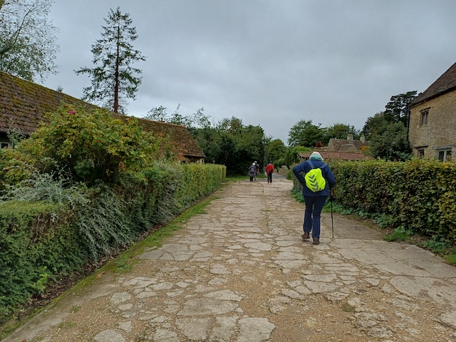 250917 Westonbirt2