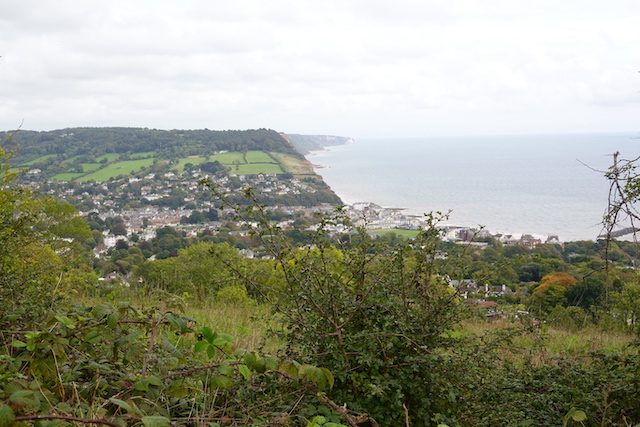 250927 Sidmouth1 6
