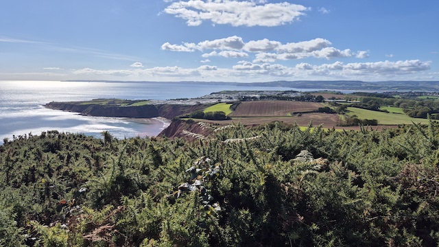 250928 Sidmouth2 1