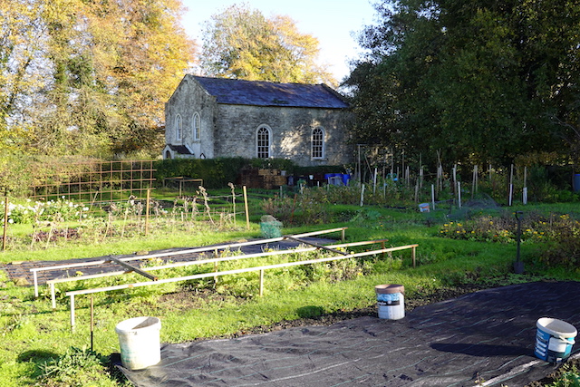 251102 Didmarton1