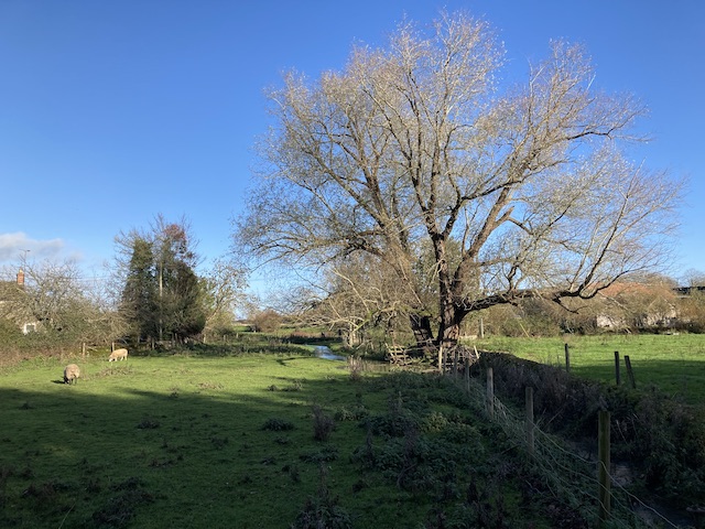 251123 AGM Ampney Crucis2