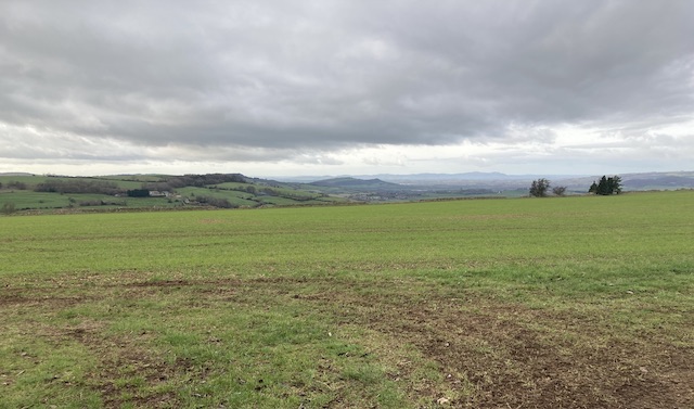 260101 TempleGuiting4