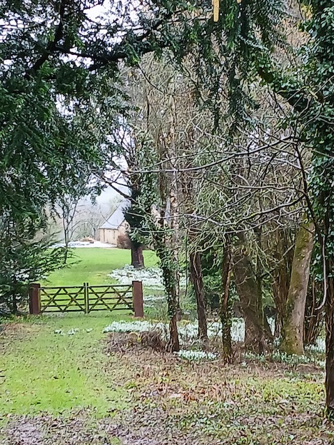 260215 SevenSprings2
