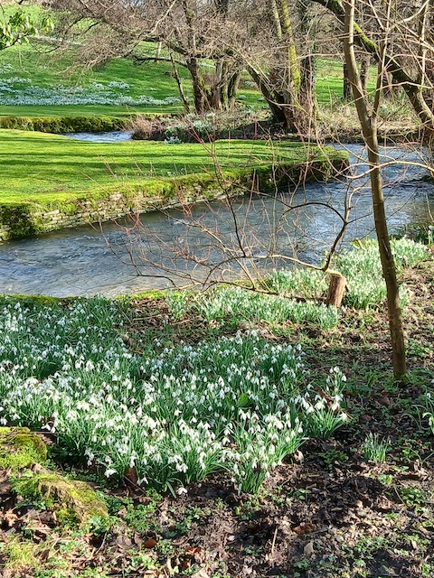 260215 SevenSprings3