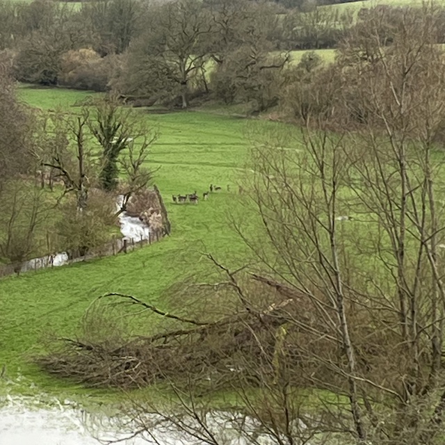 260301 Andoversford5