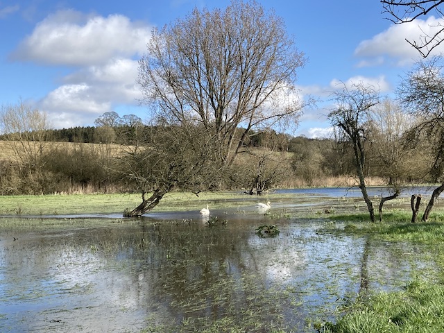 260315 Bibury5