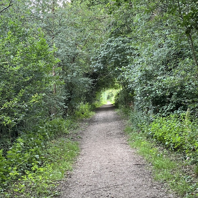 walk1