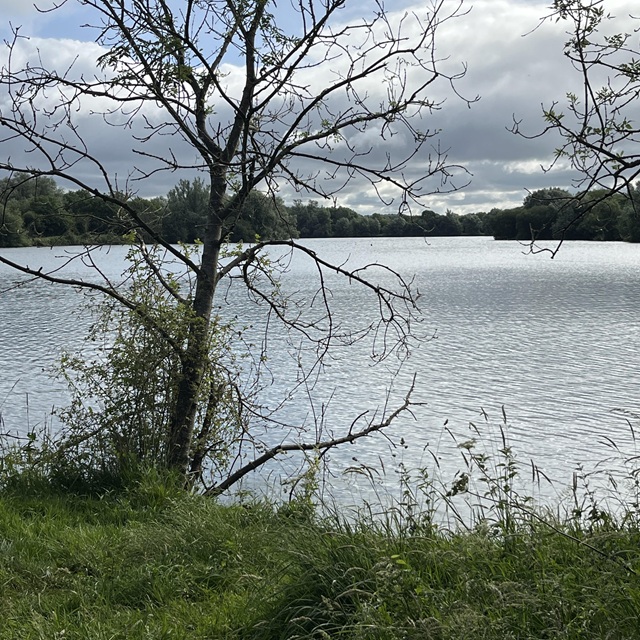 walk2