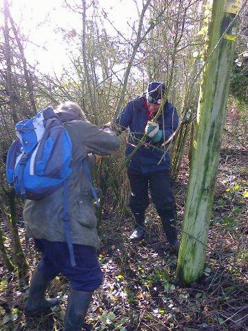 Path clearing
